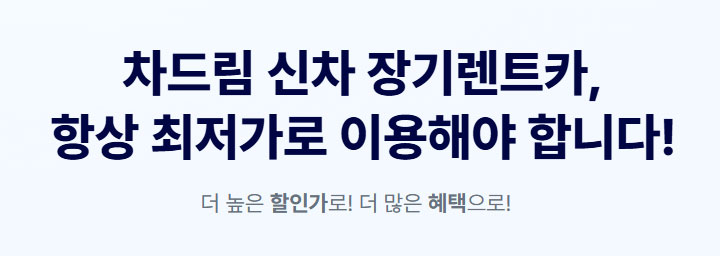 차드림 이미지